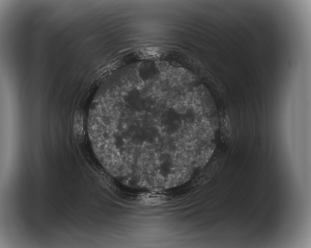 X0000103320331200810061000