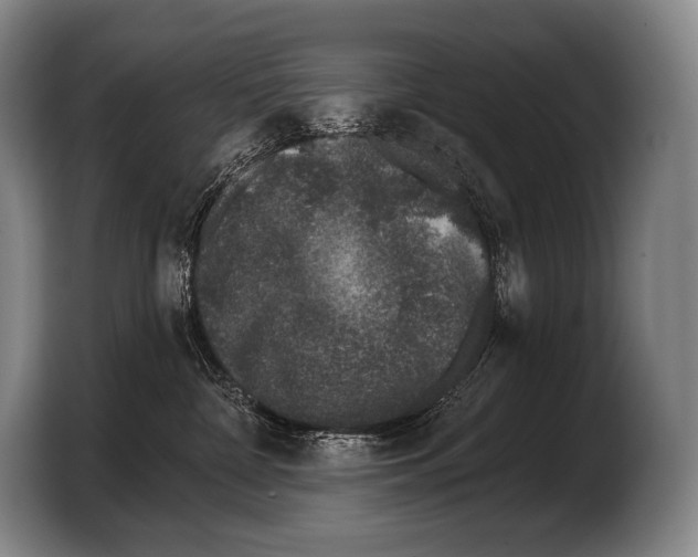 X0000103320332200810061000