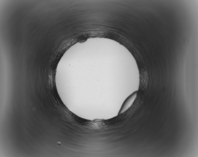 X0000103320333200810060959