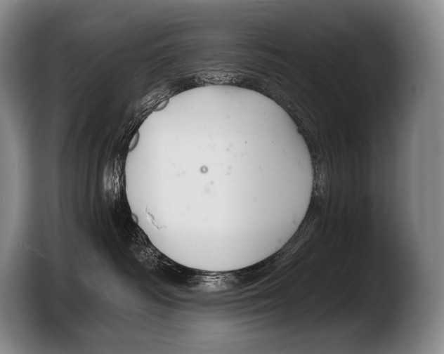 X0000103320334200810060959