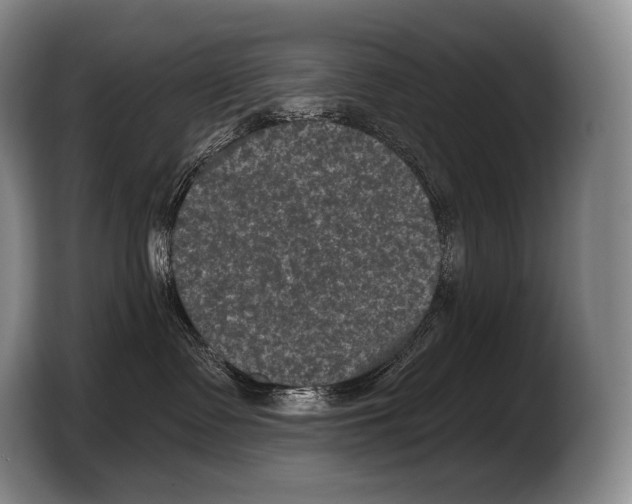 X0000103320335200810060959