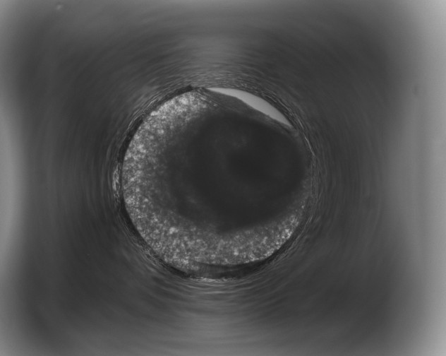 X0000103320336200810060959