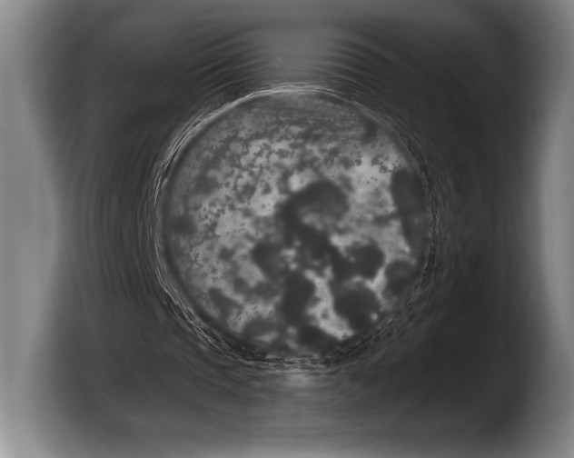 X0000103320337200810060959