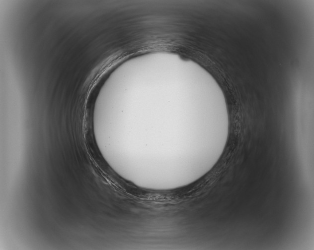 X0000103320338200810060959