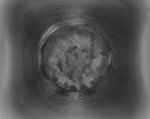 X0000103320339200810060959