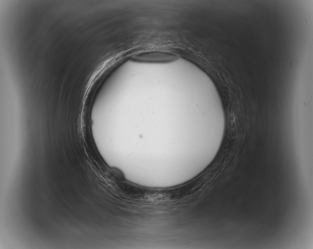 X0000103320340200810060959