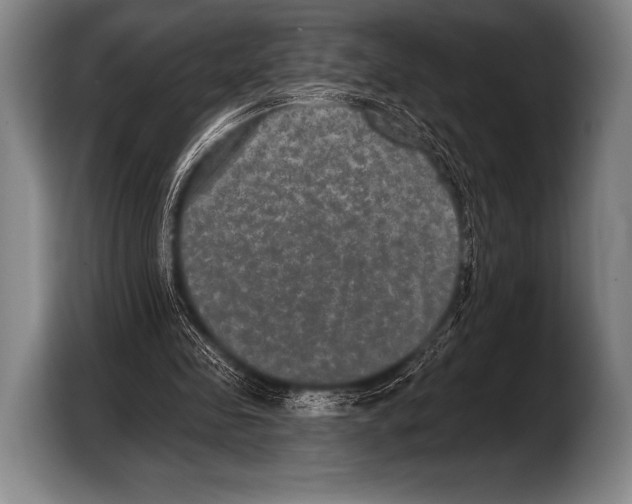 X0000103320341200810060959