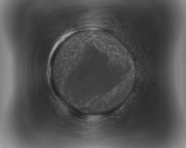 X0000103320342200810060959