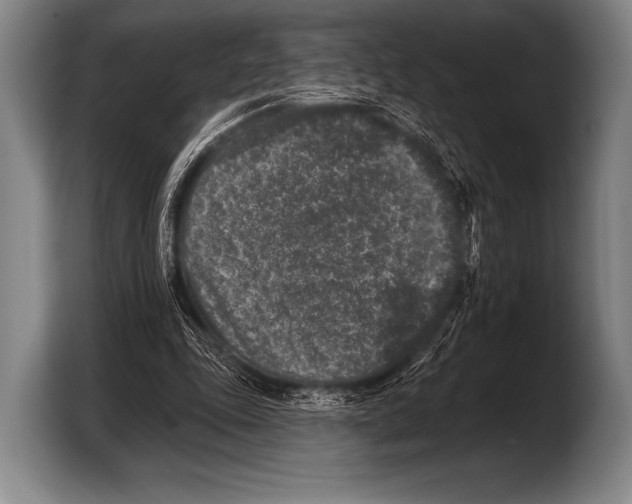 X0000103320343200810060959