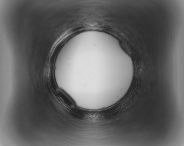 X0000103320344200810060959