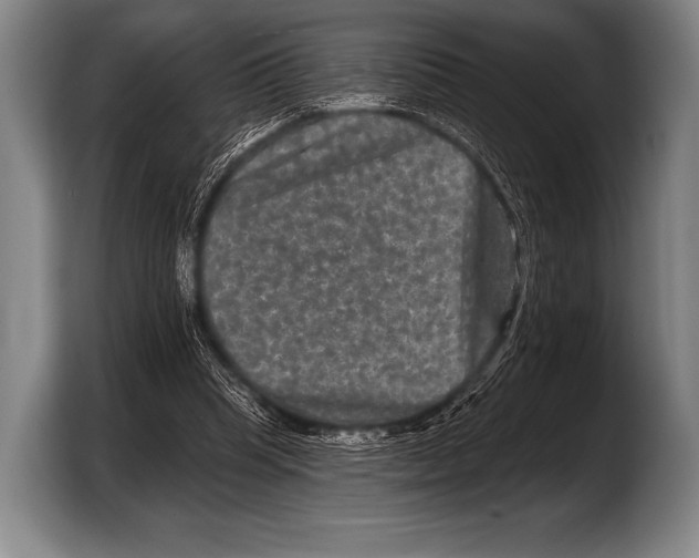 X0000103320345200810060959