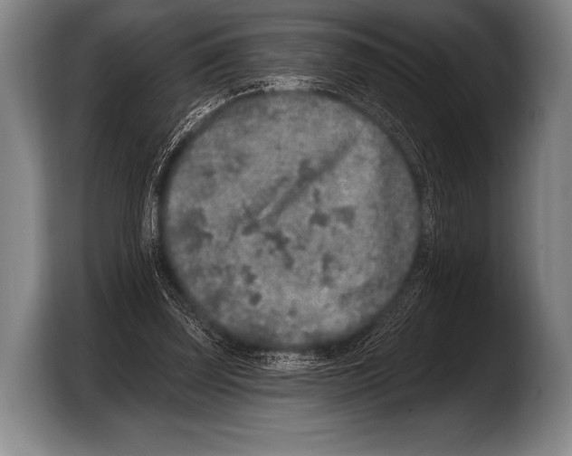 X0000103320347200810060959