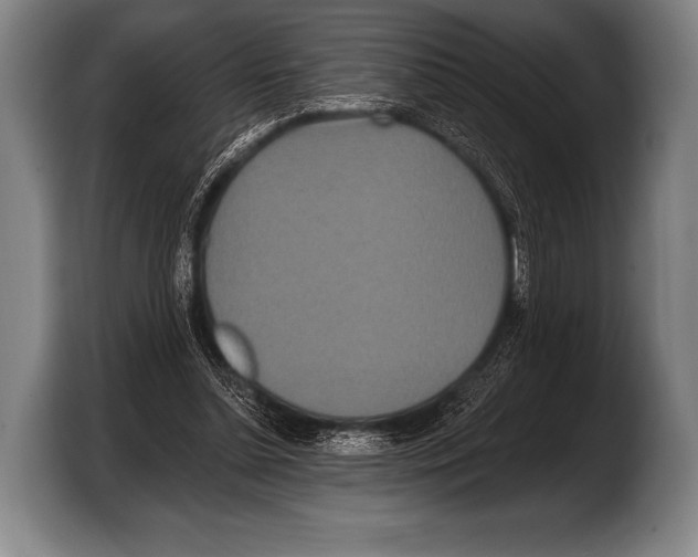 X0000103320348200810060959