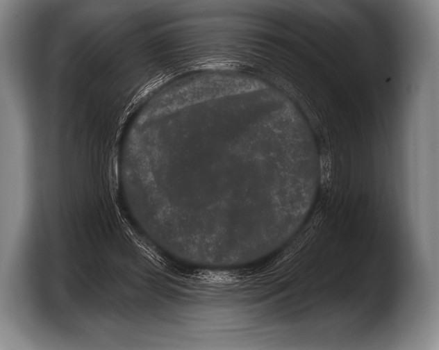 X0000103320349200810060959