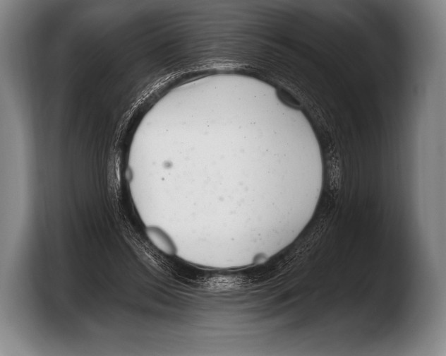 X0000103320350200810060959