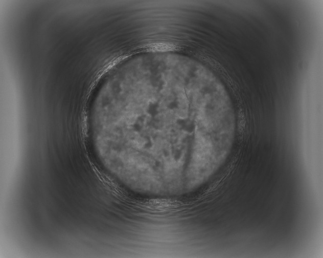 X0000103320351200810060959
