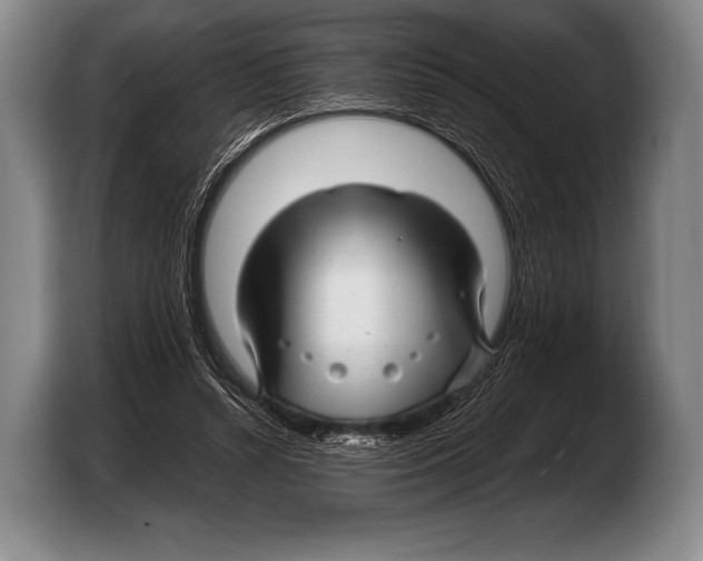 X0000103320352200810060959