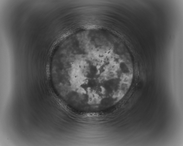 X0000103320353200810060959