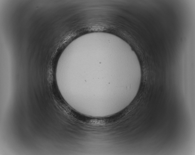 X0000103320354200810060959