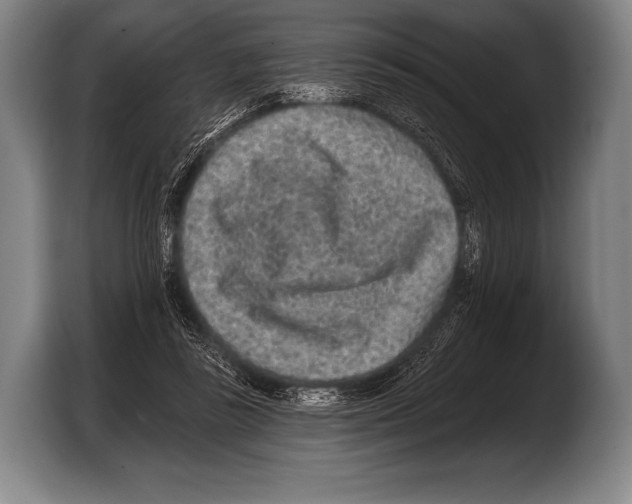 X0000103320355200810060959