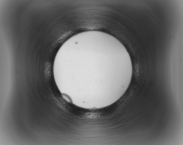 X0000103320356200810060959