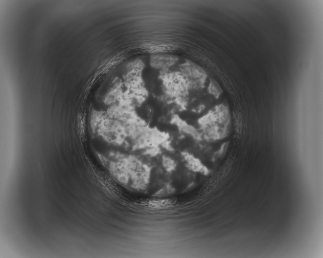 X0000103320357200810060959