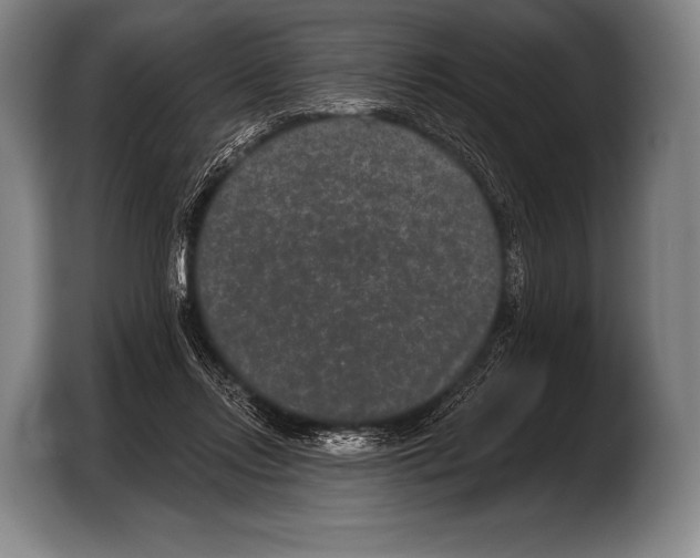 X0000103320358200810060959
