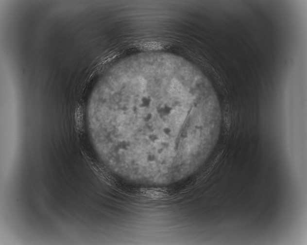 X0000103320359200810060959