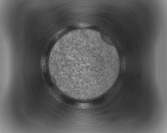 X0000103320360200810060959