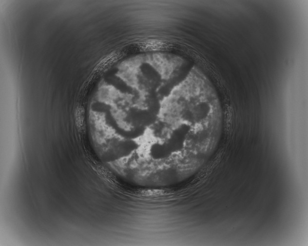 X0000103320361200810060959