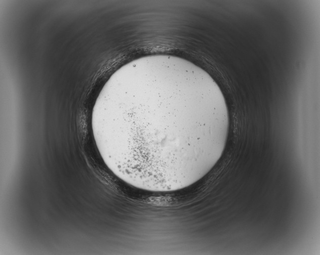 X0000103320362200810060959