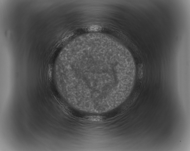X0000103320363200810060959