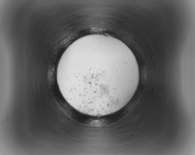 X0000103320364200810060959