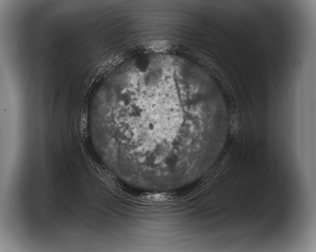 X0000103320365200810060959