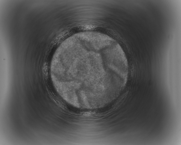 X0000103320366200810060959