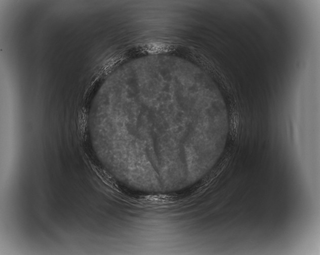 X0000103320367200810060959
