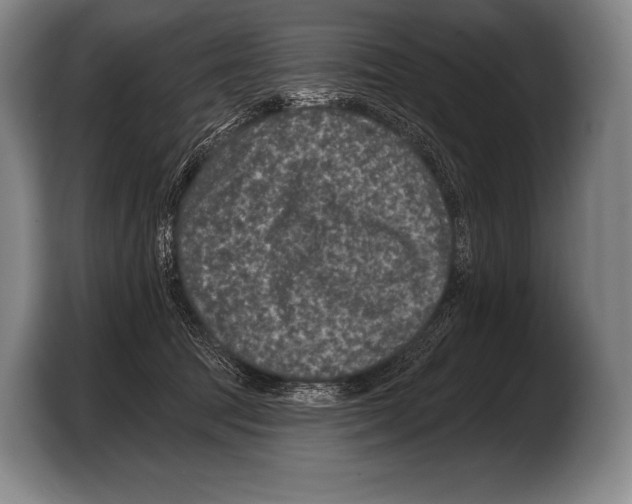 X0000103320369200810060959