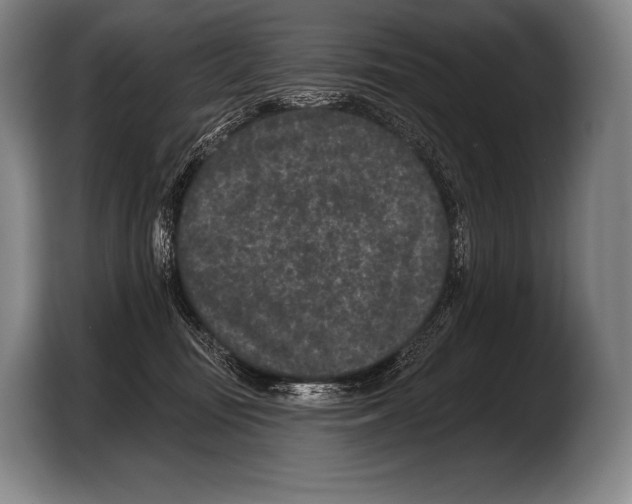 X0000103320371200810060959