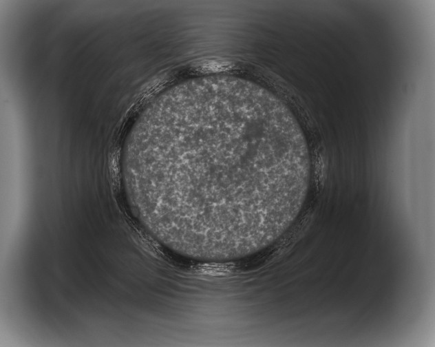 X0000103320373200810060959