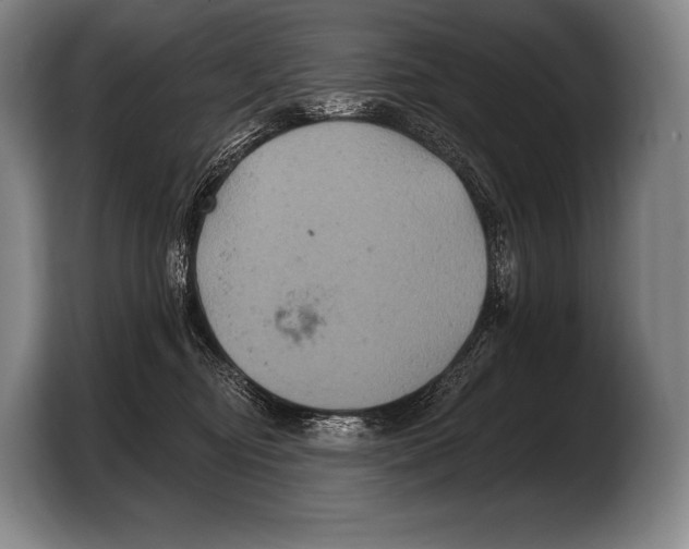 X0000103320374200810060959