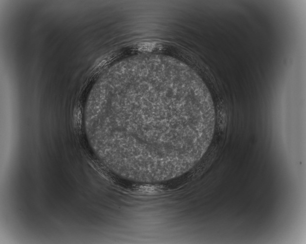 X0000103320375200810060959