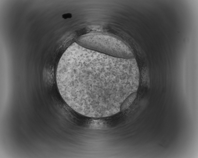 X0000103320376200810060959