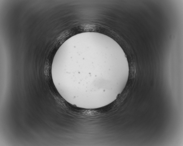 X0000103320379200810060959