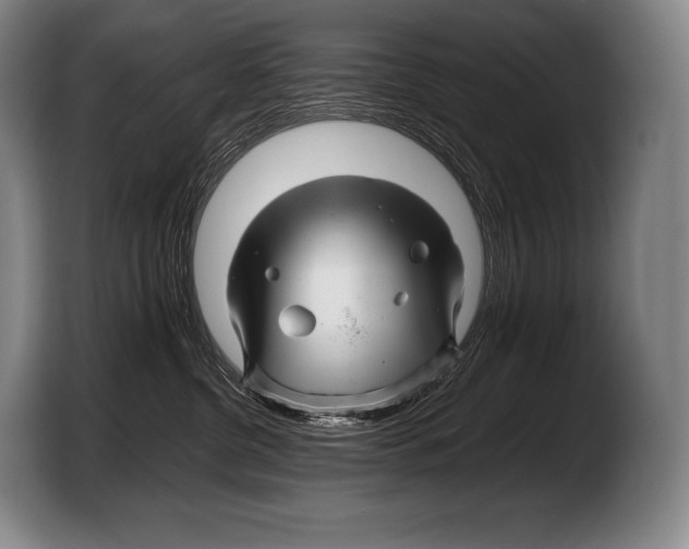 X0000103320380200810060959