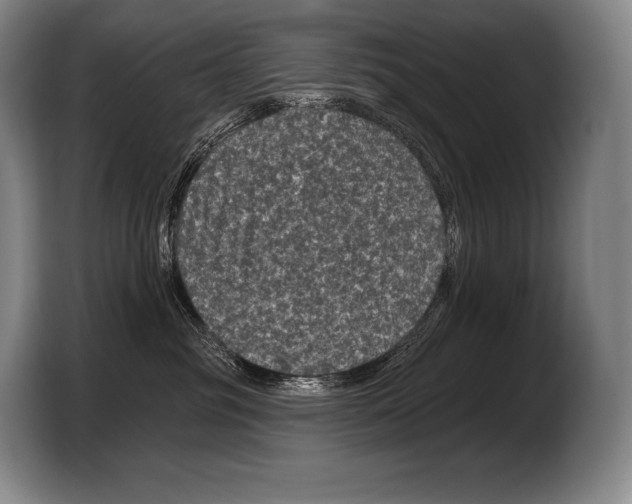 X0000103320381200810060959