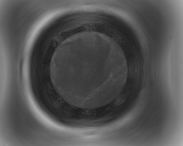 X0000103320383200810060959