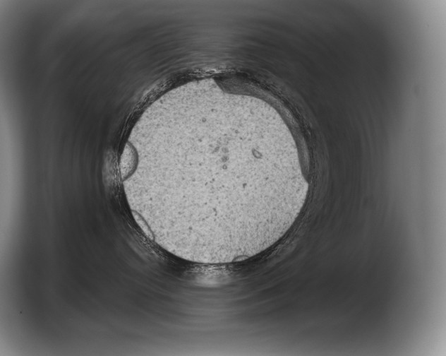 X0000103320384200810060959