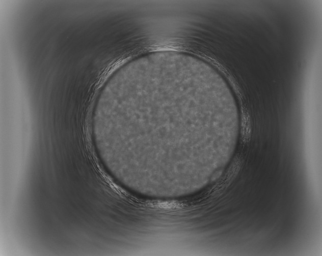 X0000103320385200810060959