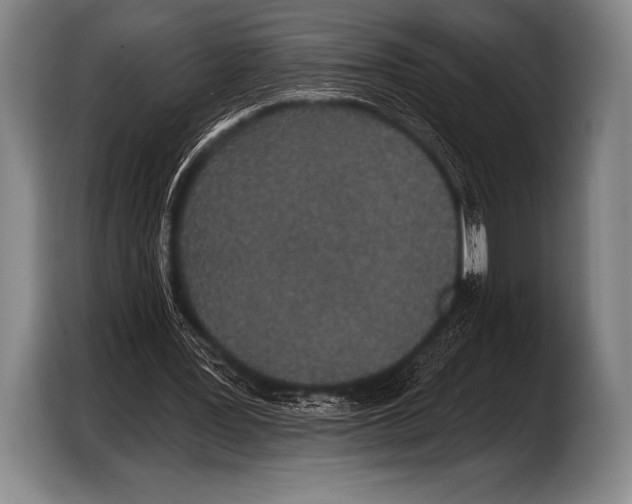 X0000103320387200810060959