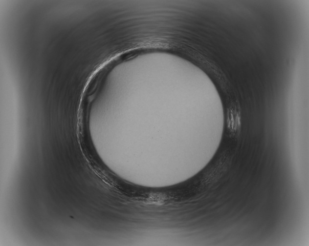 X0000103320388200810060959